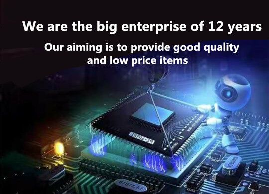5 PZ MSP430G2553IPW28R stampe  - Microbit recensione e prezzo